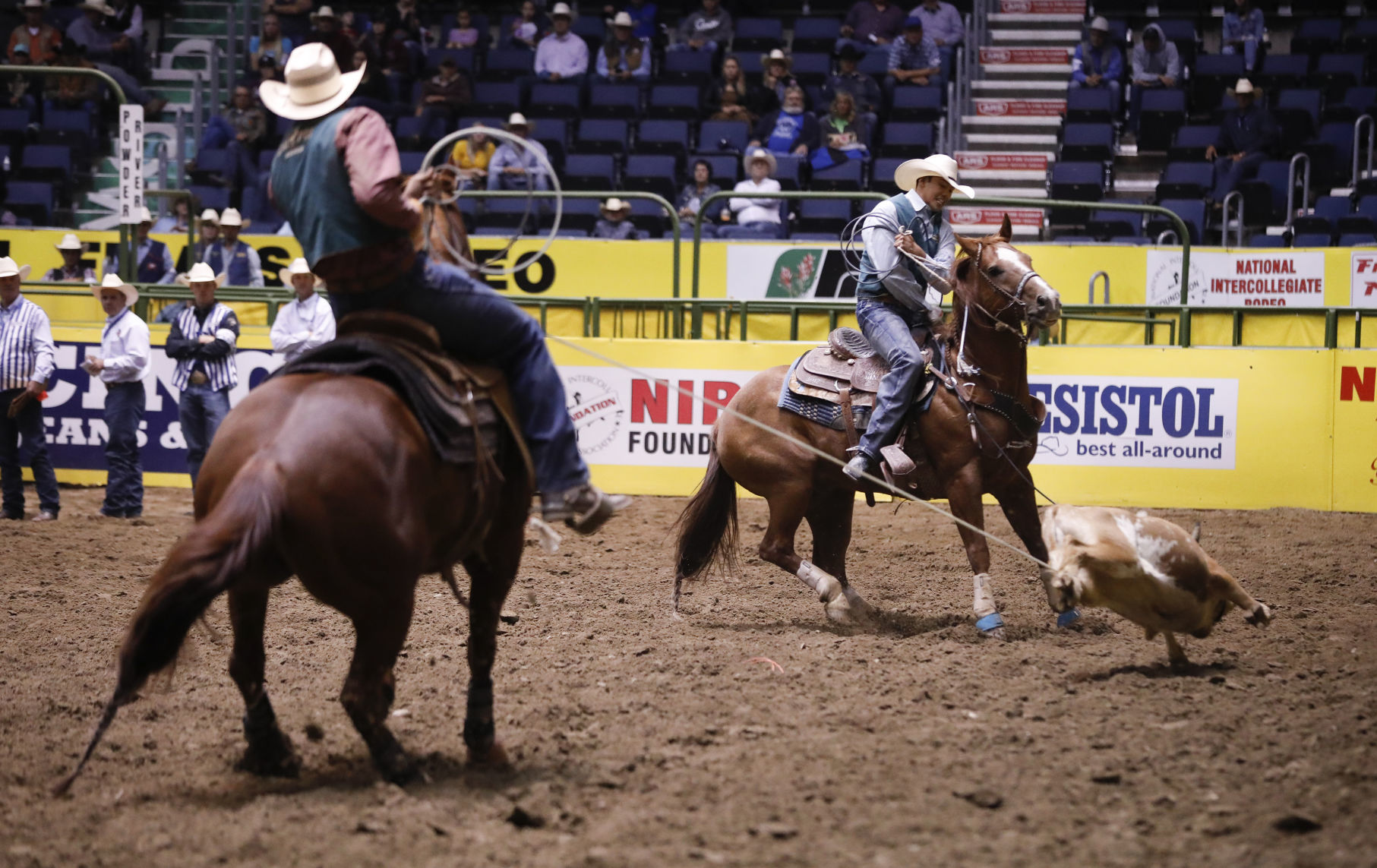 CNFR - Tuesday